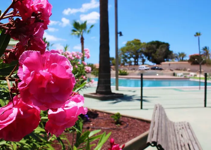 Apartment Soleado Vistas Al Mar Cristianos